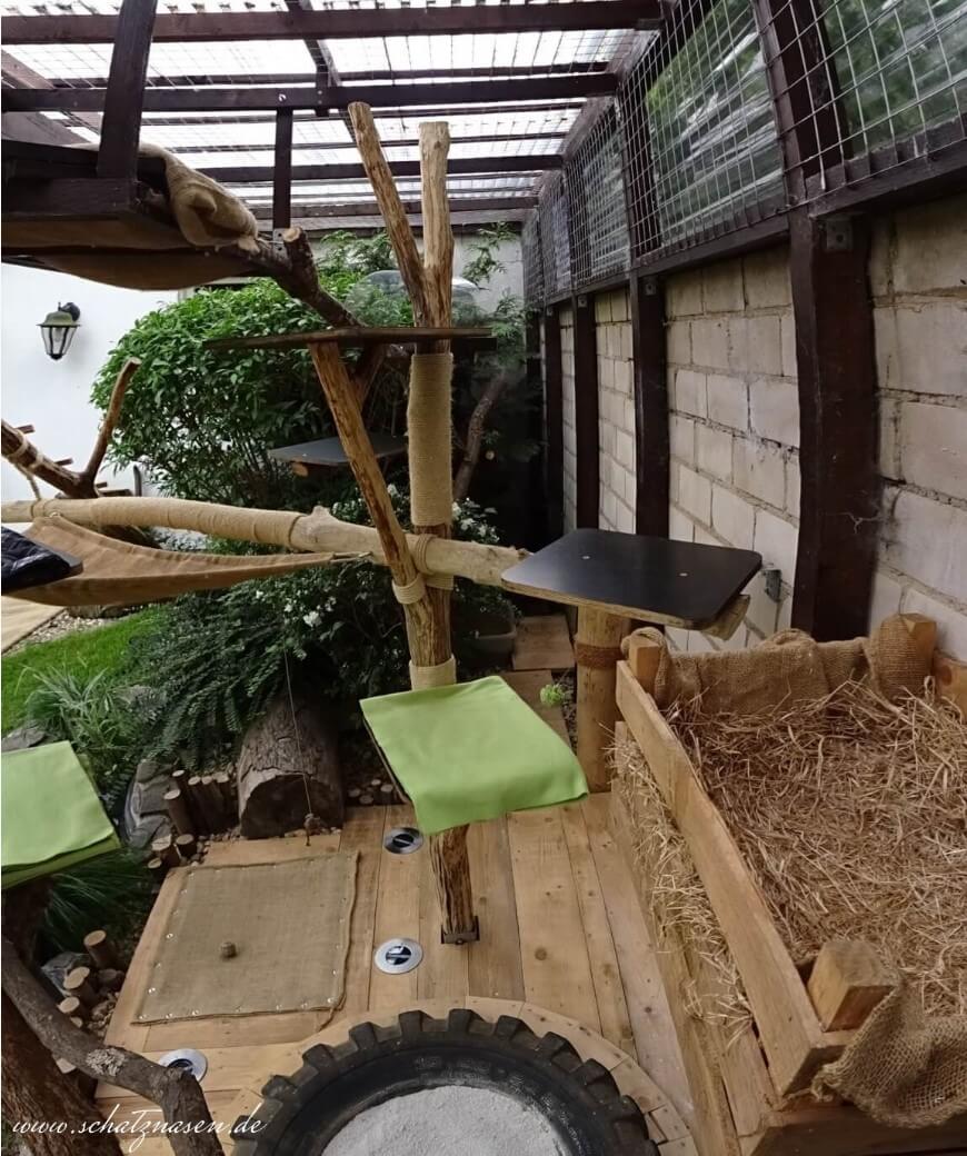 Freigehege Katzen - ein senkrechter Panoramablick von hinten auf den Kletterpark unserer Katzen