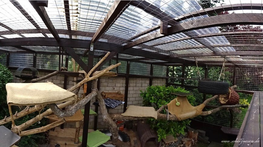 Freigehege Katzen - ein Panoramablick von oben in das Gehege