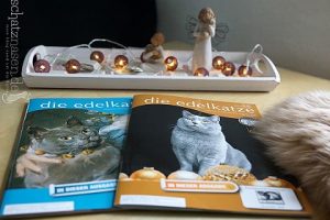 Percy in „die edelkatze“