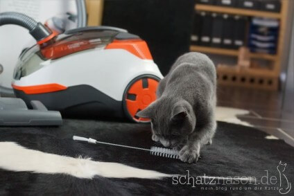 Thomas Cycloon Hybrid Pet & Friends - Reinigungsbürste - Pinsel klein