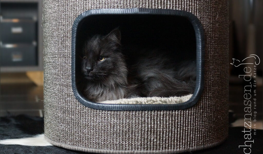 selbstgemachte Kratztonne für Katzen